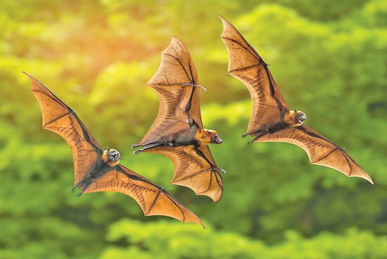 Caption This – 26th June