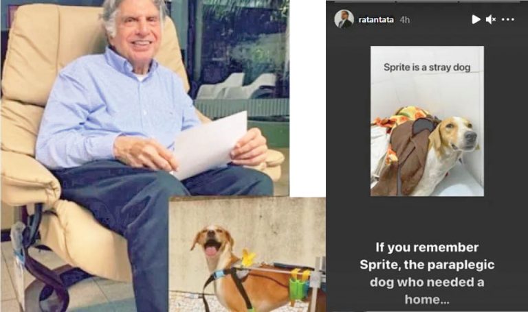 Ratan Tata Helps Paralysed ‘Sprite’ Find A Forever Home