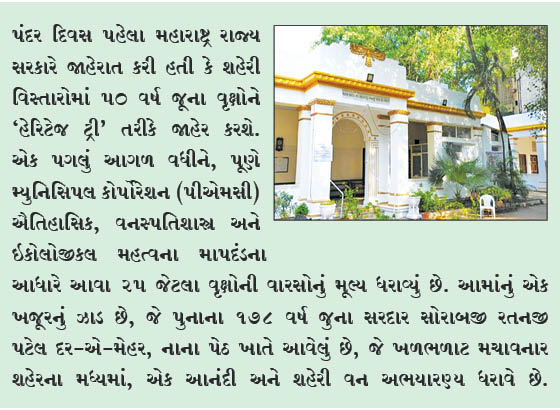 પુનાની એસ. આર. પટેલ અગિયારીમાં ખજૂરના વૃક્ષને હેરિટેજ ટ્રી તરીકે ઘોષિત!