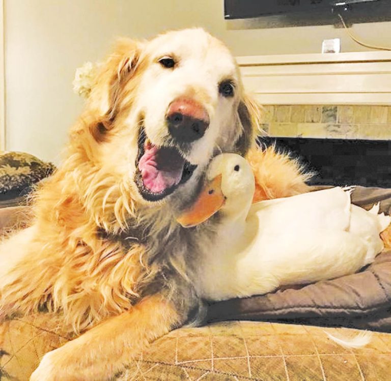 Caption This – 31st July