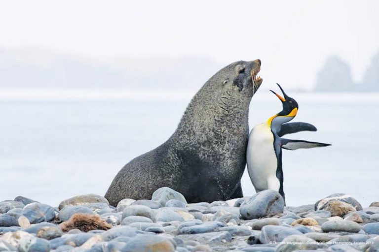 Caption This – 4th September