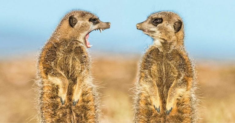 Caption This – 16th October