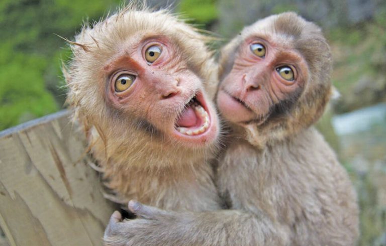 Caption This – 27th November