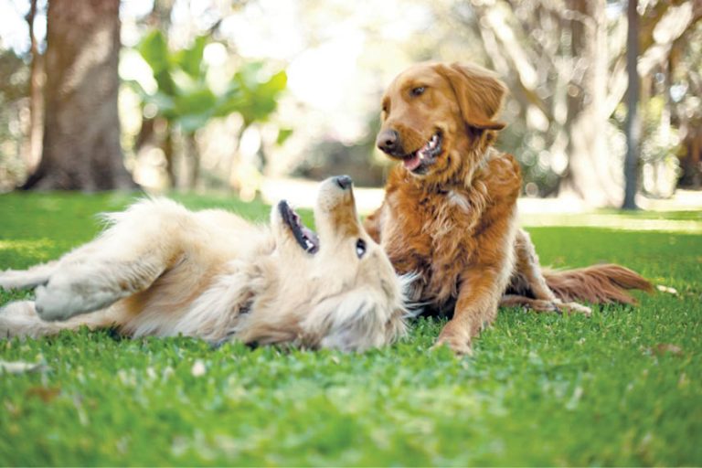 Caption This – 6th November