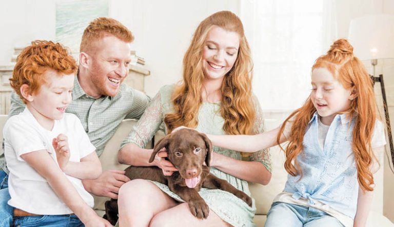 The Dog’s Guide To Making Friends And Influencing People