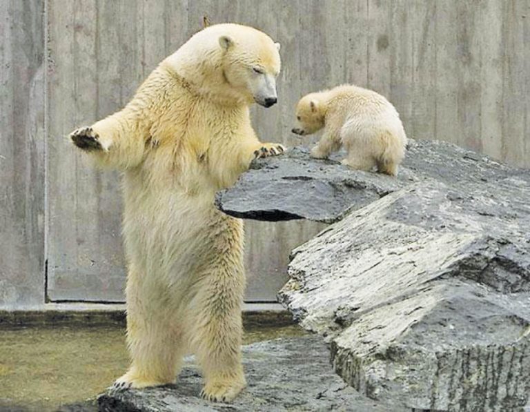 Caption This – 18th December