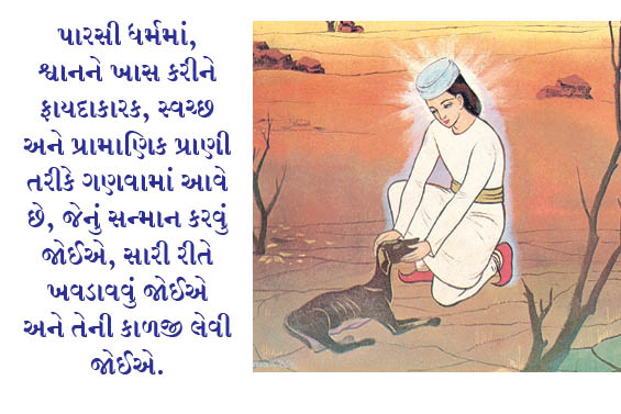 પારસી ધર્મમાં શ્વાનનું મહત્ત્વ