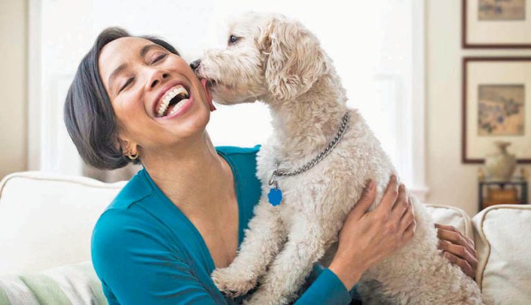 Sit, Stay And Don’t Poo On 2022!