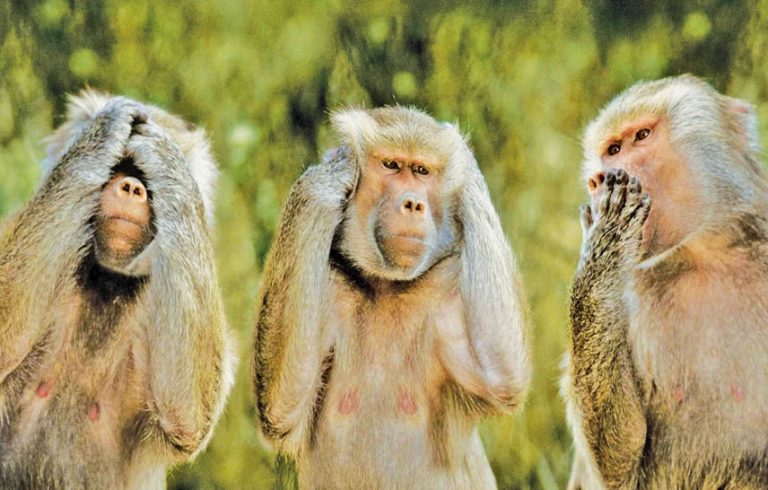 Caption This – 15th January