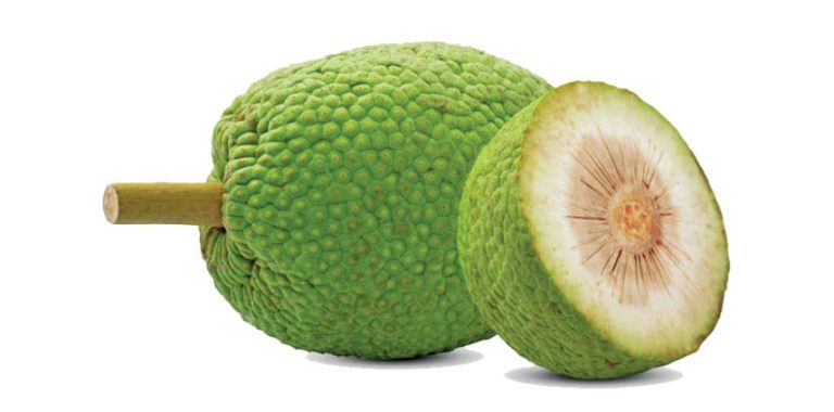 Breadfruit, Please!