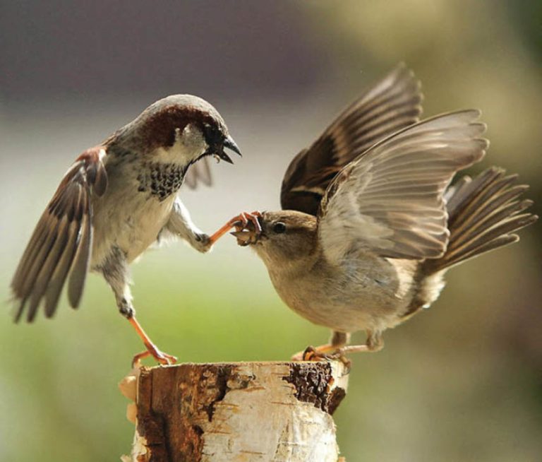 Caption This – 19th February