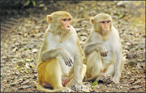 Caption This – 12th March