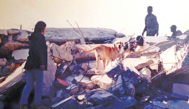 The Search Dogs of Bhuj – An Excerpt