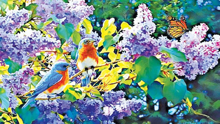 Ushering a New Season of Gratitude, Faith And Compassion