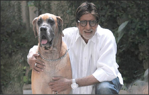 Caption This – 30th April