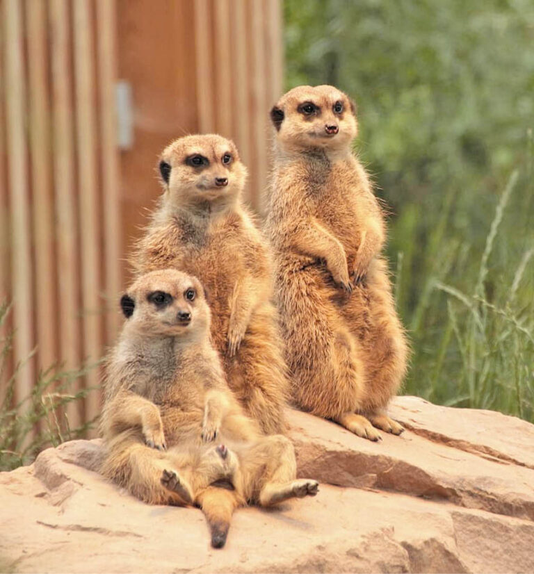 Caption This – 14th May