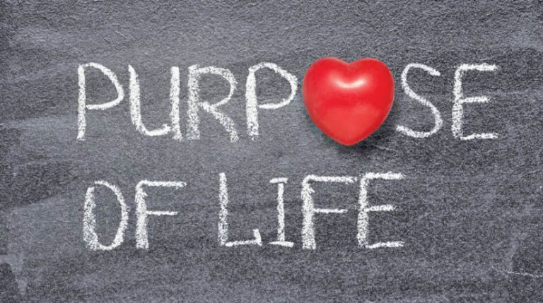 What Is The Purpose Of Life?
