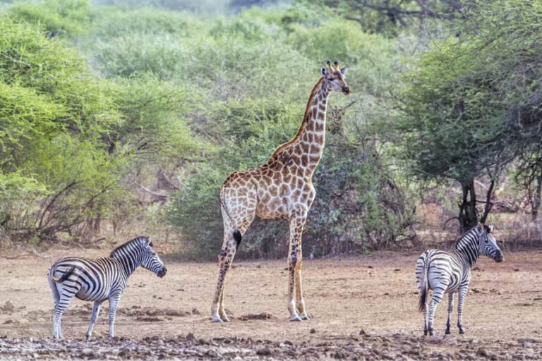 Caption This – 4th June