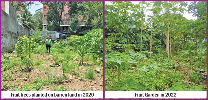 Eco-Friendly Initiatives At The B.D. Petit Parsee General Hospital