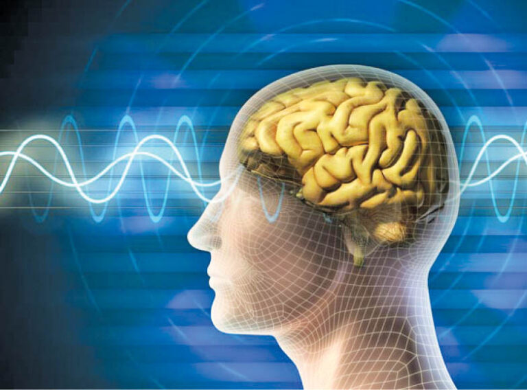 Healthy Aging – Keeping Your Mind Sharp And Young