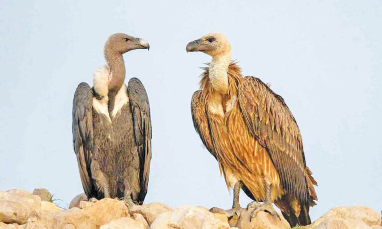 Caption This – 24th September