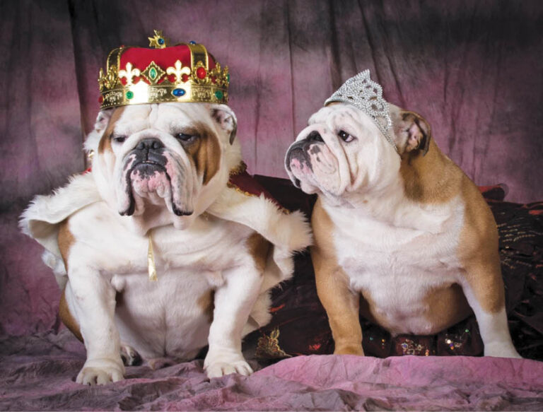 Caption This – 10th September