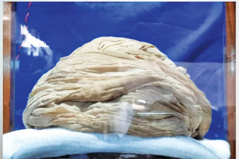 Surat’s Wadia Family Displays 194-year-old Lord Swaminarayan’s Turban On Bhai Dooj