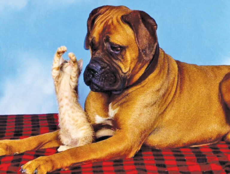 Caption This – 21st January