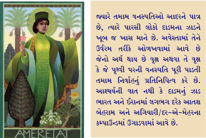 ઉર્વરમ – (પવિત્ર) વૃક્ષ
