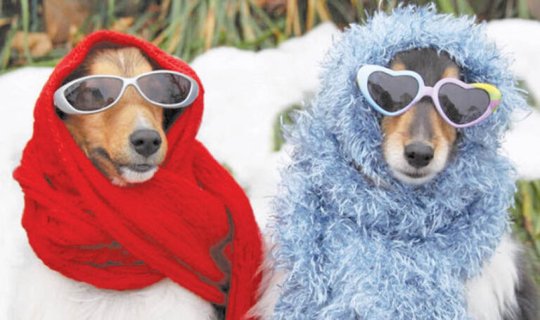 Caption This – 4th February