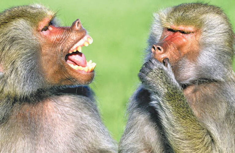 Caption This – 4th March