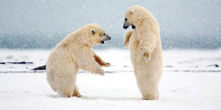 Caption This – 11th March