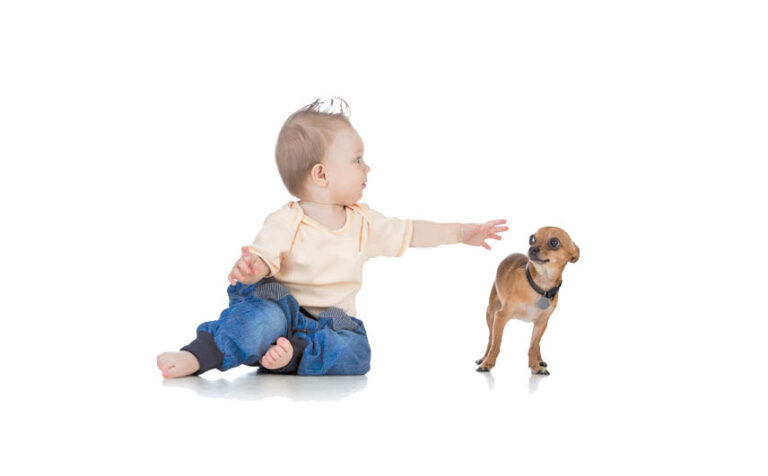 Kids And Preventing Dog Bites