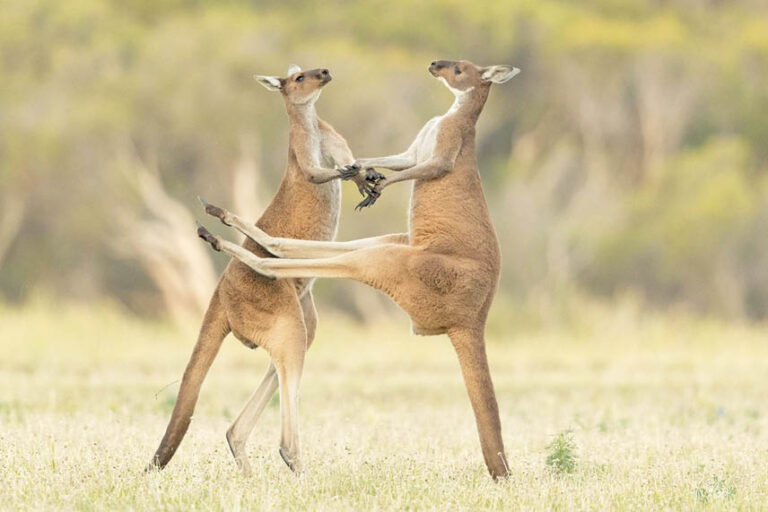 Caption This – 6th May